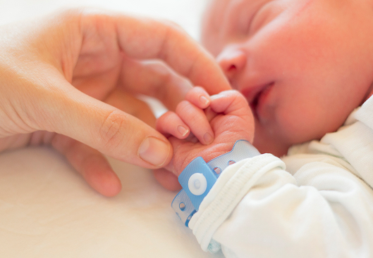 iStock-1150625777 2.jpg